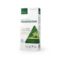 Ashwagandha.jpg