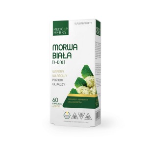 Morwa Biała (1-DNJ)