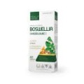 Boswellia-150x150.jpg