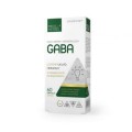 GABA-350x350.jpg