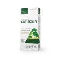 Gotu-kola-350x350.jpg