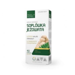Soplówka Jeżowata