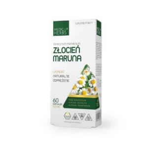 Złocień Maruna