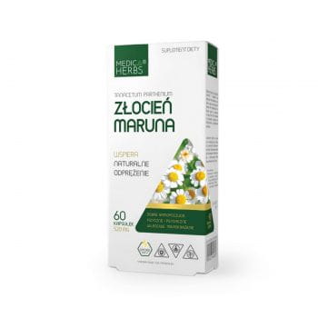 Złocień-maruna-350x350.jpg