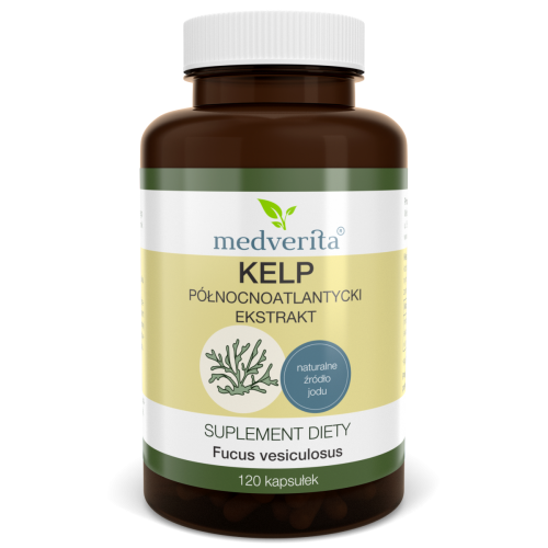kelp-120-wiz-1200x1200.png