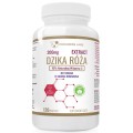 dzika-roza-200mg-ekstrakt-do-ssania-o-smaku-hibiskusa-120-tabletek.jpg